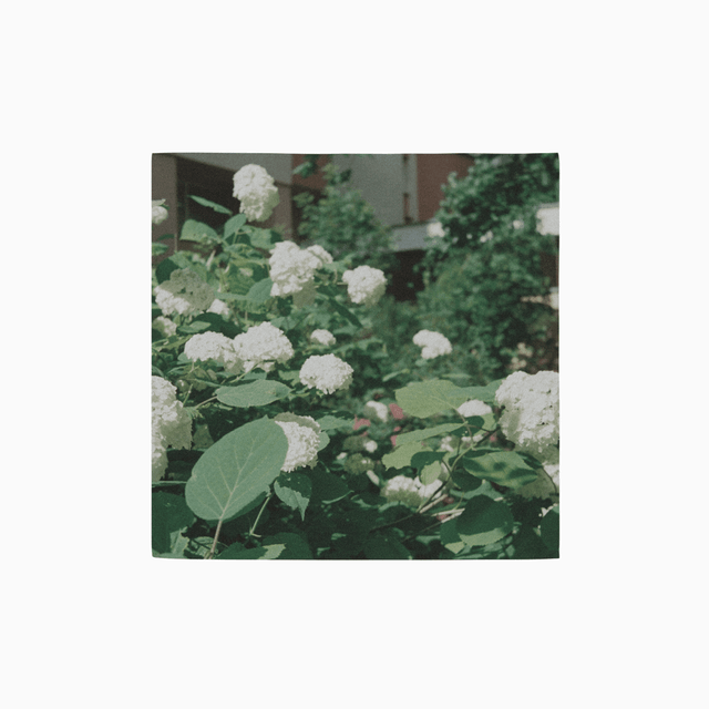 패브릭 포스터 (60x60) (정방형)의0번 이미지 