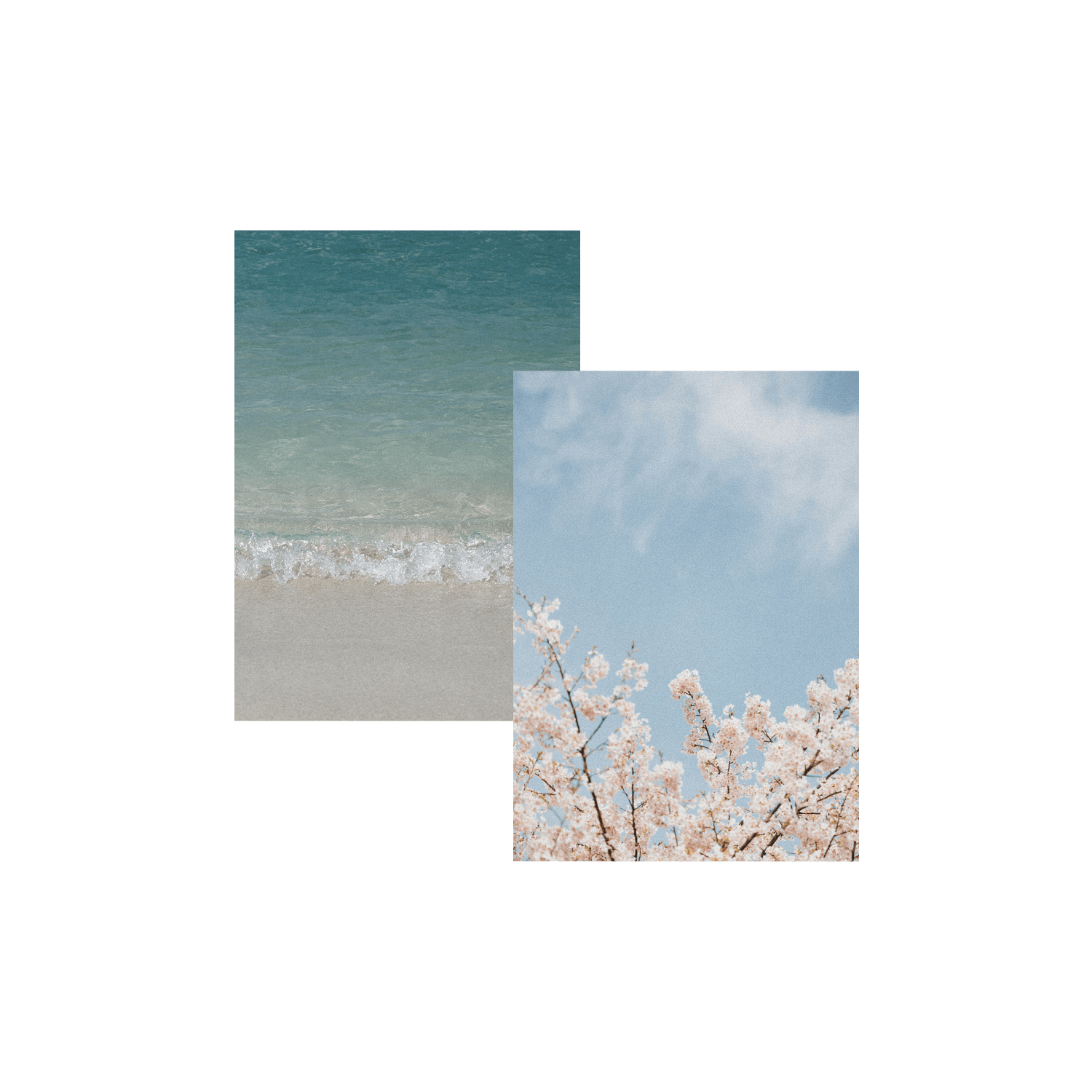 리무버블 패브릭 포스터 (A4) (세로)위에 인쇄된 이미지
