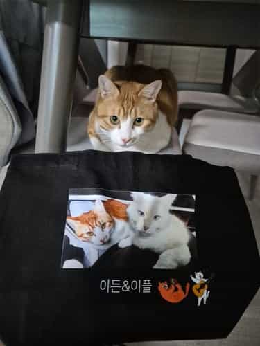 리뷰사진