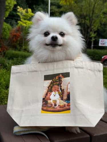 리뷰사진