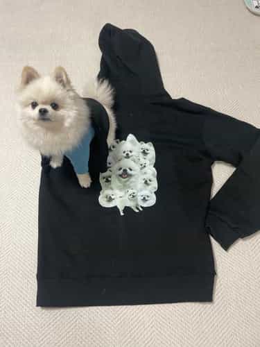 리뷰사진